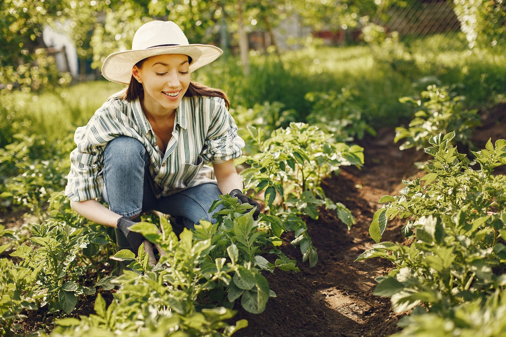 21 circular economy solutions: changing how we eat, live and travel for a more sustainable world