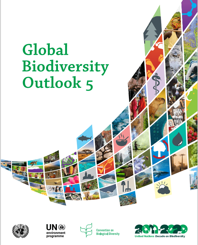 The Global Biodiversity Outlook 5 (GBO-5)